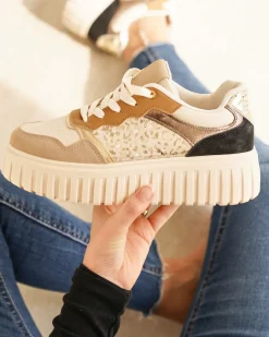 Fashion Casual Mode Basket femme compensée semelle épaisse à lacets - Daniella Taupe
